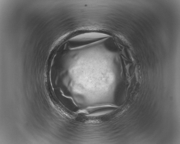 X0000080750536200701051213