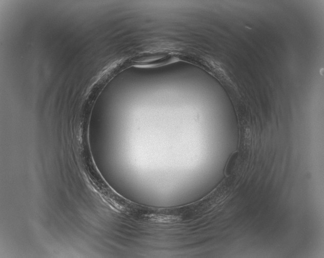 X0000080750539200701051213