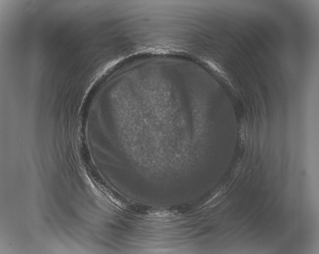 X0000080750540200701051213
