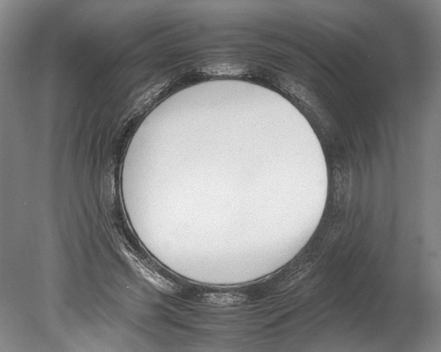 X0000080750541200701051213