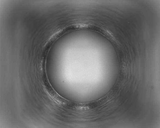 X0000080750543200701051213