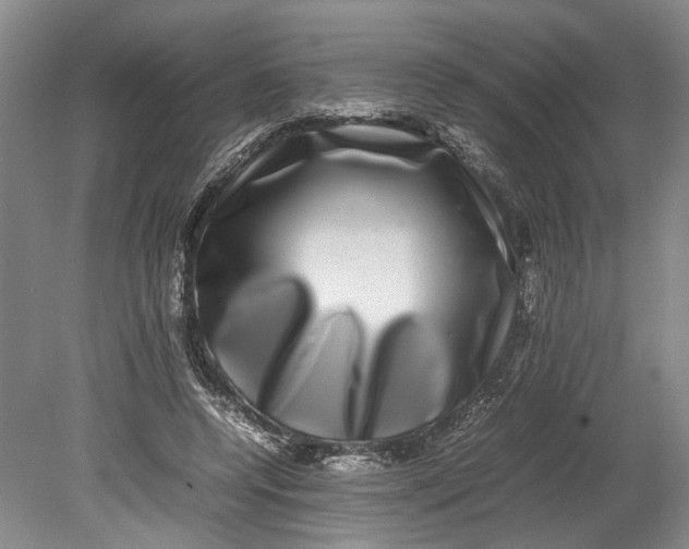 X0000080750544200701051213