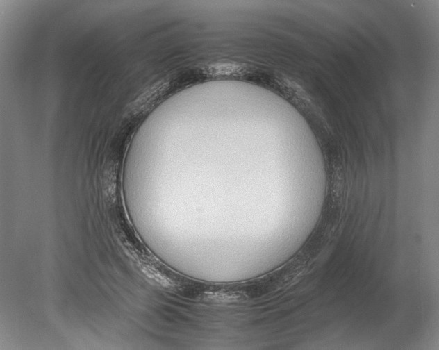 X0000080750545200701051213