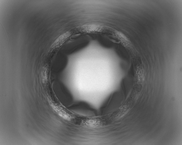 X0000080750546200701051213
