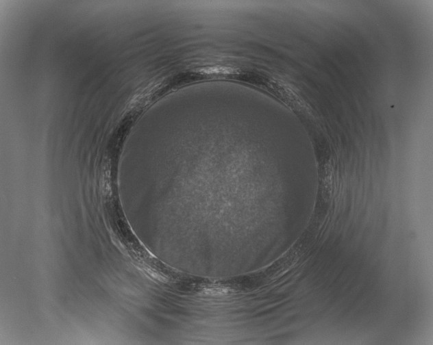 X0000080750547200701051213