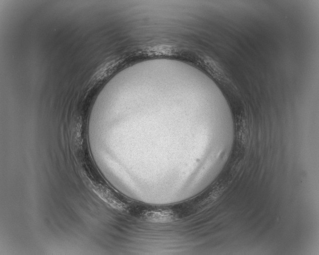 X0000080750548200701051213