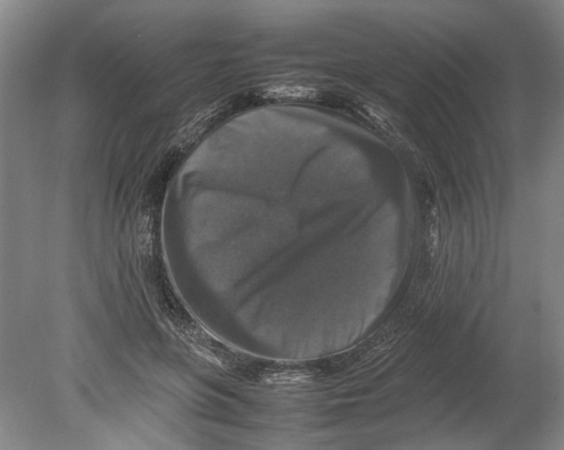 X0000080750551200701051213