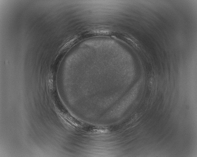 X0000080750552200701051213