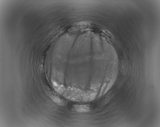X0000080750553200701051213
