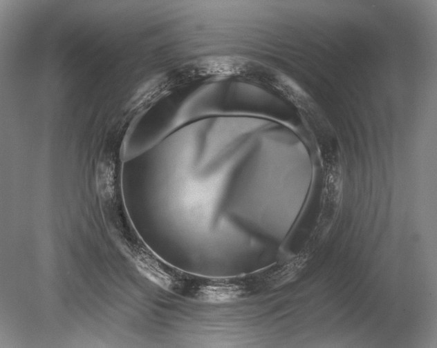 X0000080750556200701051213