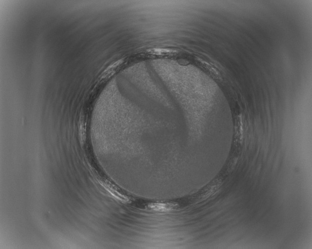 X0000080750558200701051213