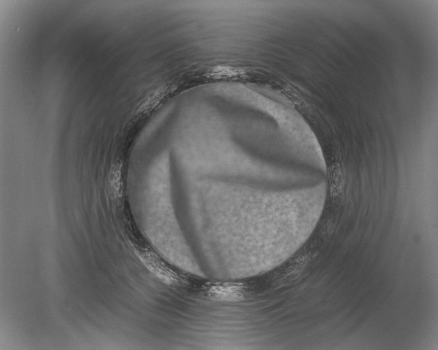 X0000080750560200701051213