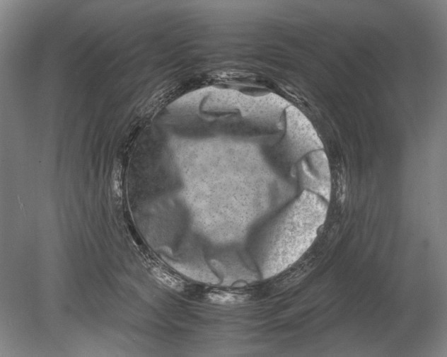 X0000080750561200701051213