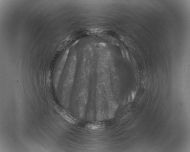 X0000080750563200701051213