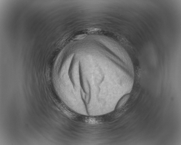 X0000080750565200701051213