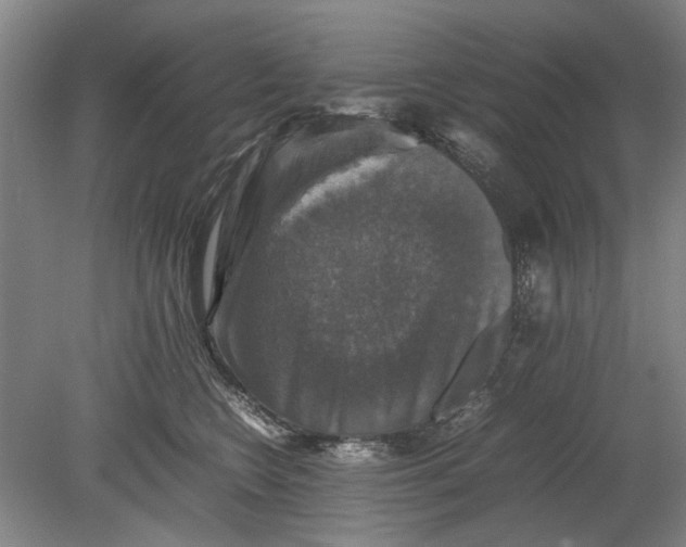 X0000080750566200701051213