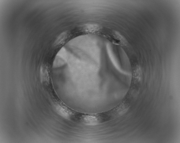 X0000080750572200701051213