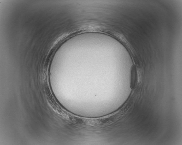 X0000080750579200701051213