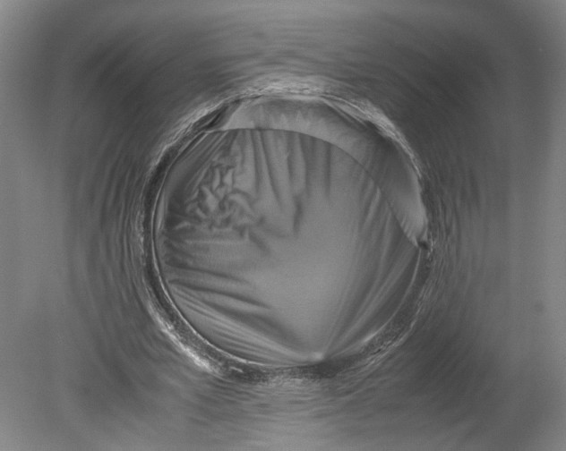 X0000080750581200701051212