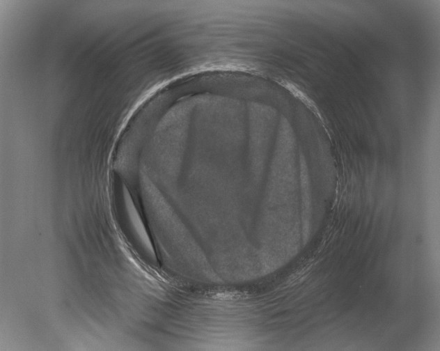 X0000080750584200701051212
