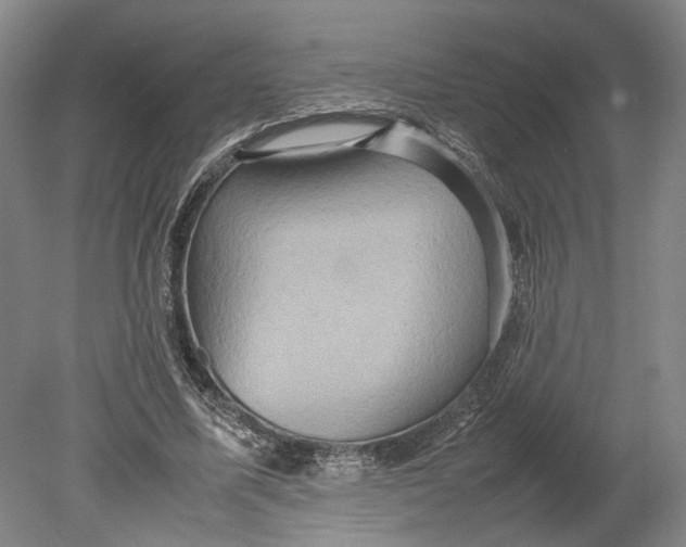 X0000080750587200701051212
