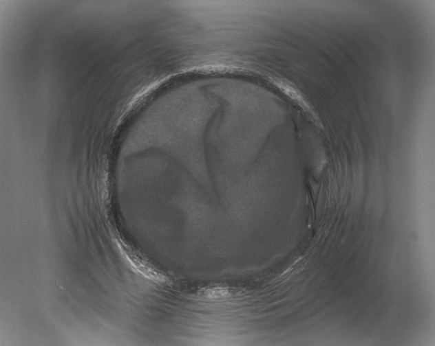 X0000080750588200701051212
