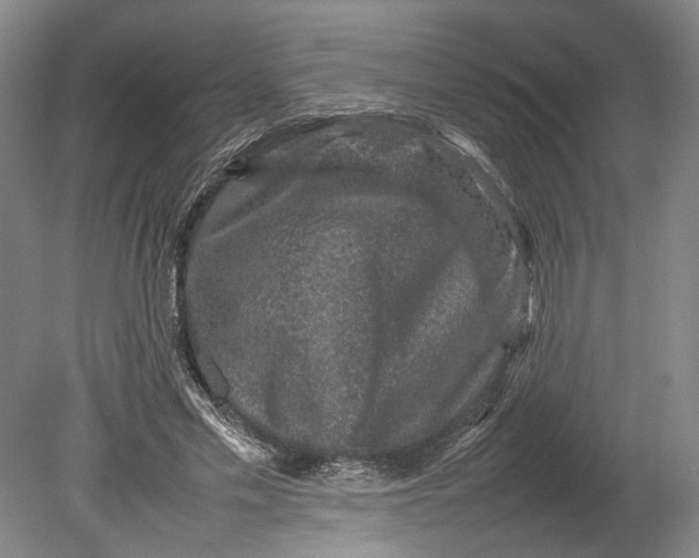 X0000080750589200701051212
