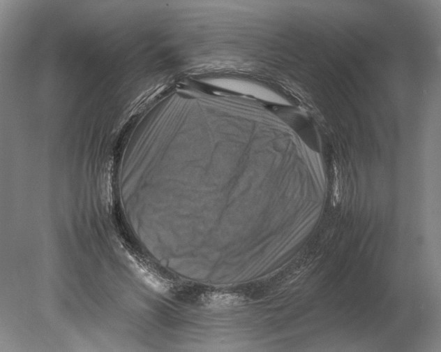 X0000080750590200701051212