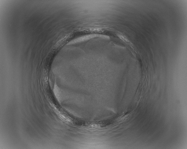 X0000080750593200701051212
