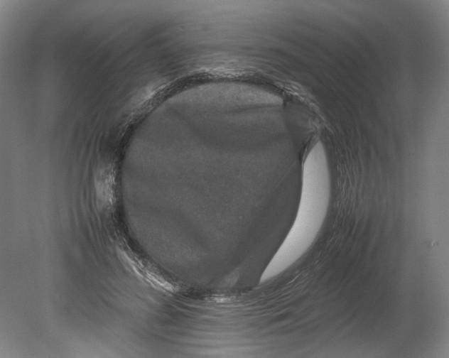 X0000080750596200701051212
