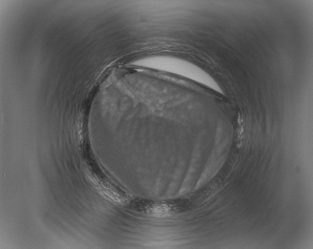 X0000080750600200701051212
