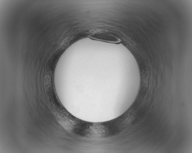X0000080750603200701051212