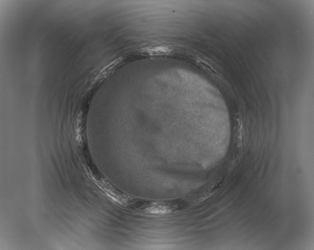 X0000080750604200701051212