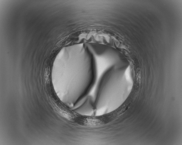 X0000080750605200701051212