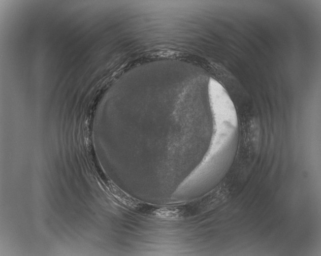 X0000080750606200701051212