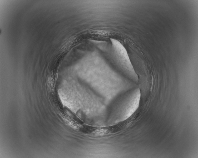X0000080750609200701051212