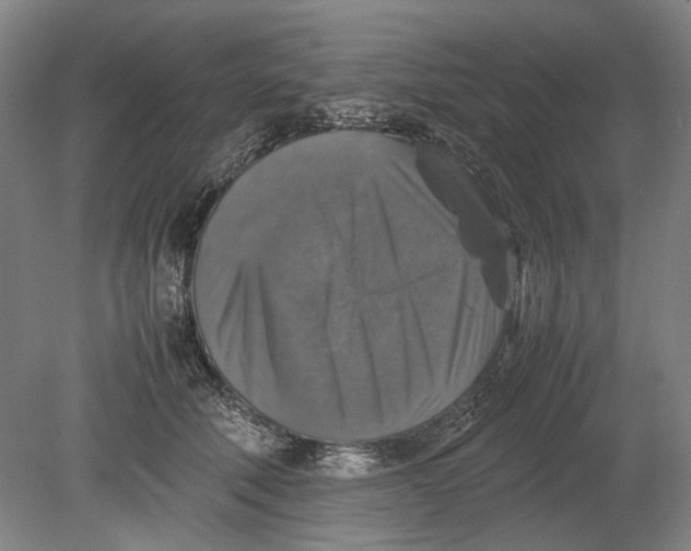 X0000080750610200701051212