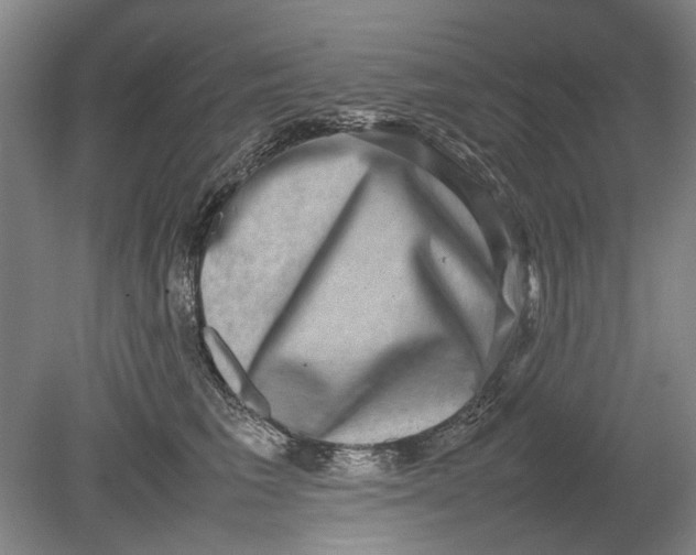 X0000080750613200701051212