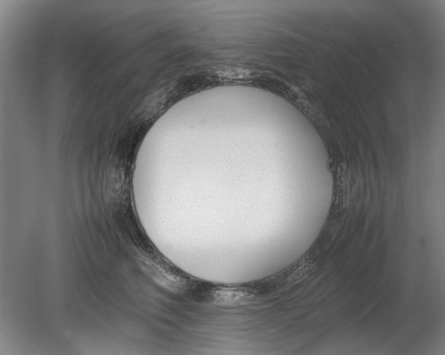 X0000080750614200701051212