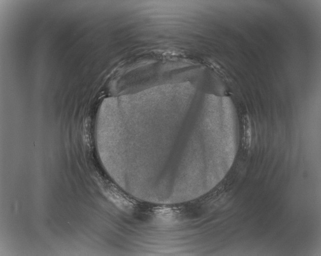 X0000080750616200701051212