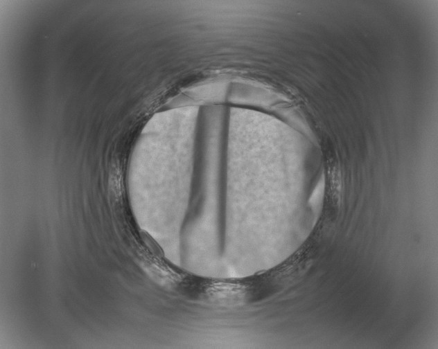 X0000080750617200701051212