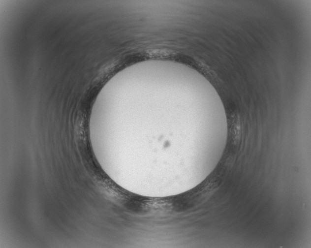 X0000080750619200701051212