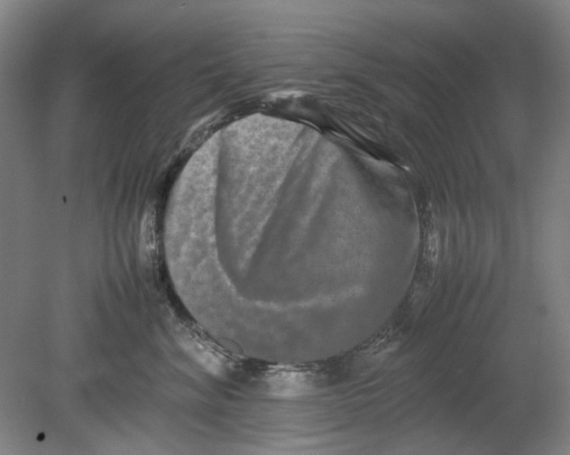 X0000080750620200701051212