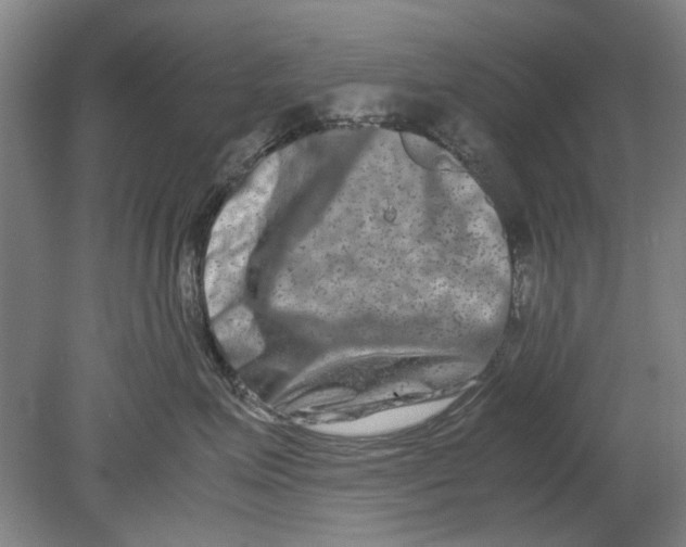 X0000080750623200701051212