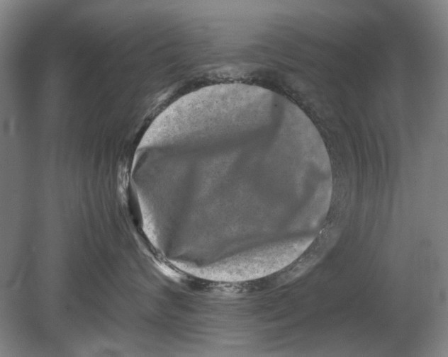 X0000080750624200701051212