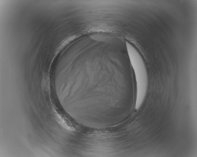 X0000080750626200701051211