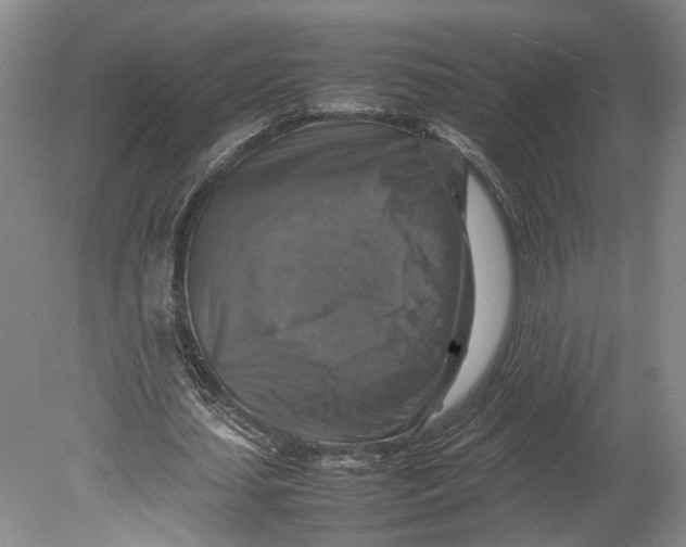 X0000080750627200701051211
