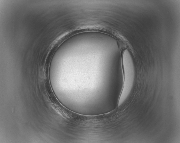 X0000080750628200701051211