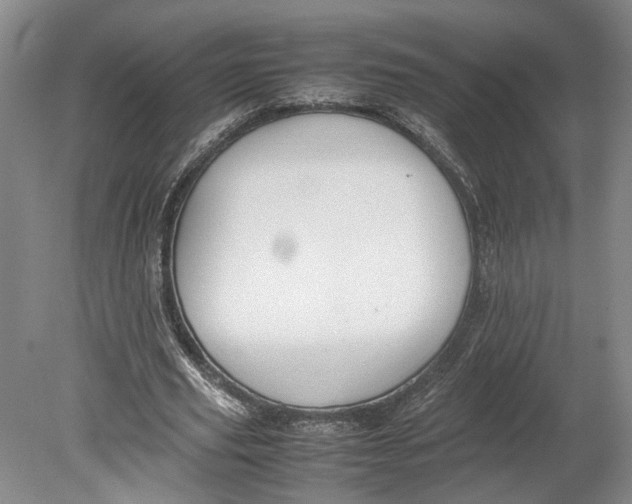 X0000080750629200701051211