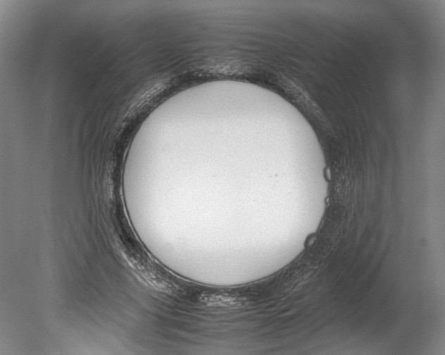 X0000080750635200701051211